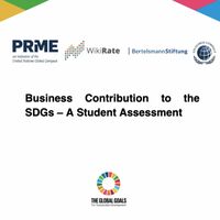 Final Pilot Report: Business Contribution to the SDGs — A Student Assessment+Image